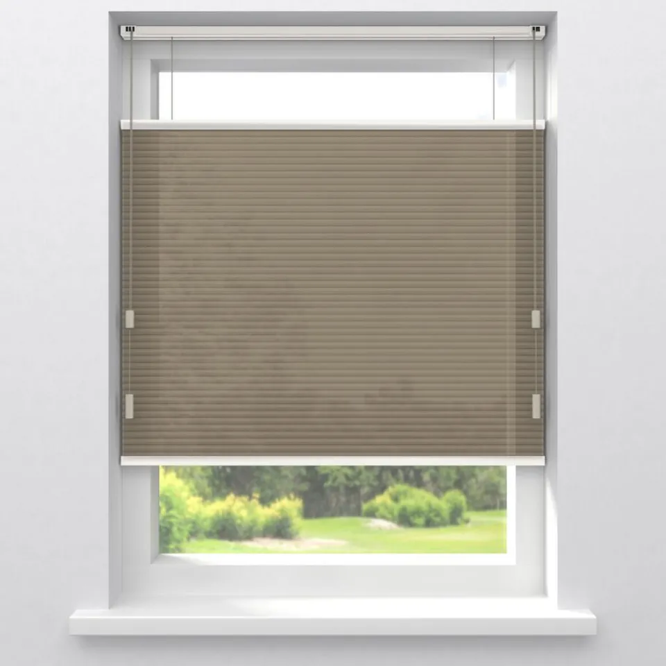 Kwantum Plisségordijnen|Isolerende Gordijnen|Fenstr Dubbel Plissé Lizzy Lichtdoorlatend