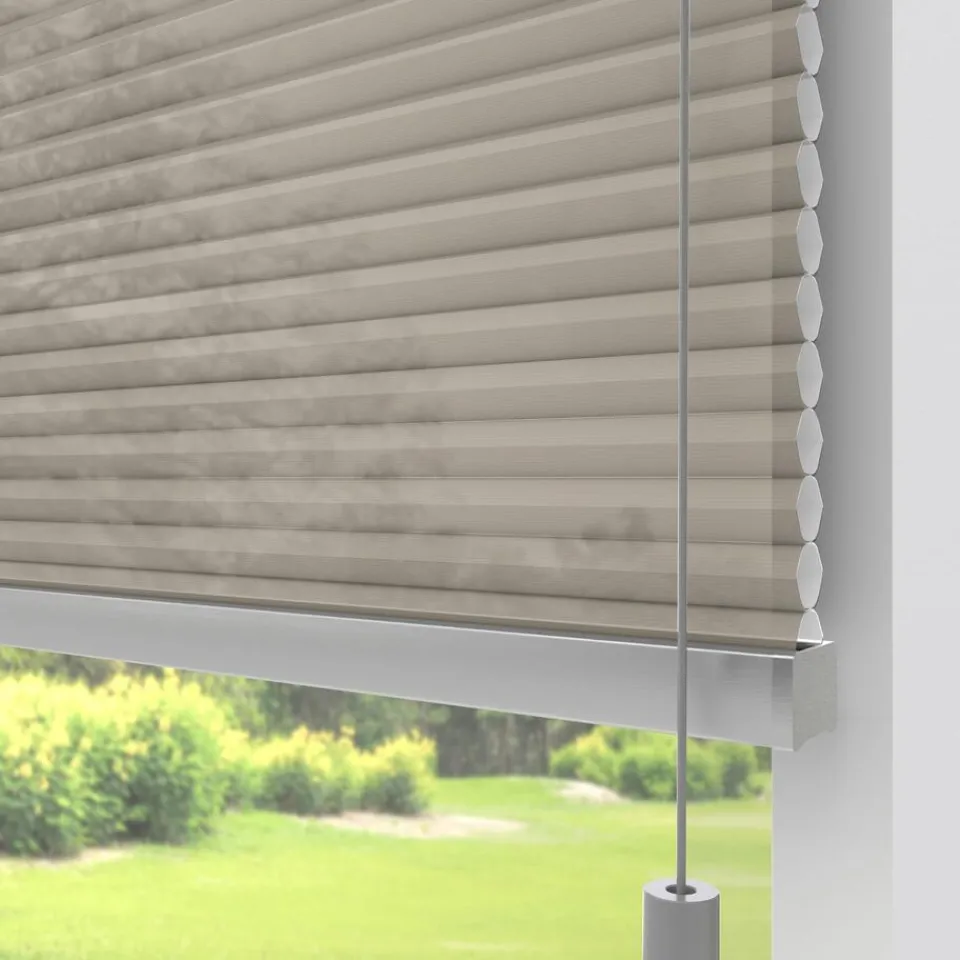 Kwantum Plisségordijnen|Isolerende Gordijnen|Fenstr Dubbel Plissé Lizzy Lichtdoorlatend