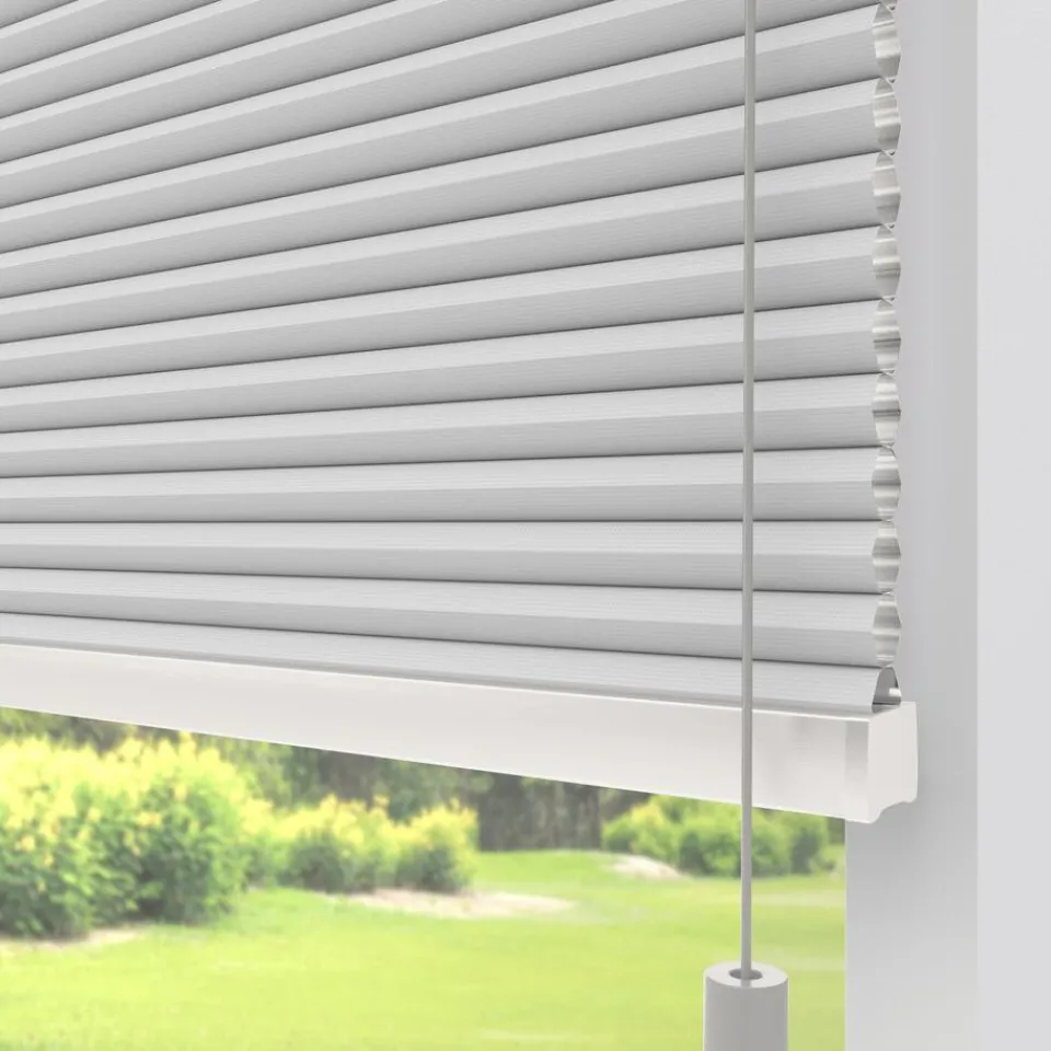 Kwantum Plisségordijnen|Isolerende Gordijnen|Fenstr Dubbel Plissé Elsa Verduisterend