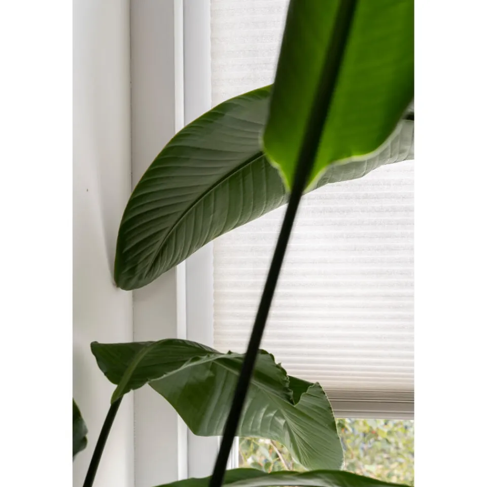 Kwantum Plisségordijnen|Isolerende Gordijnen|Fenstr Dubbel Plissé Elsa Verduisterend