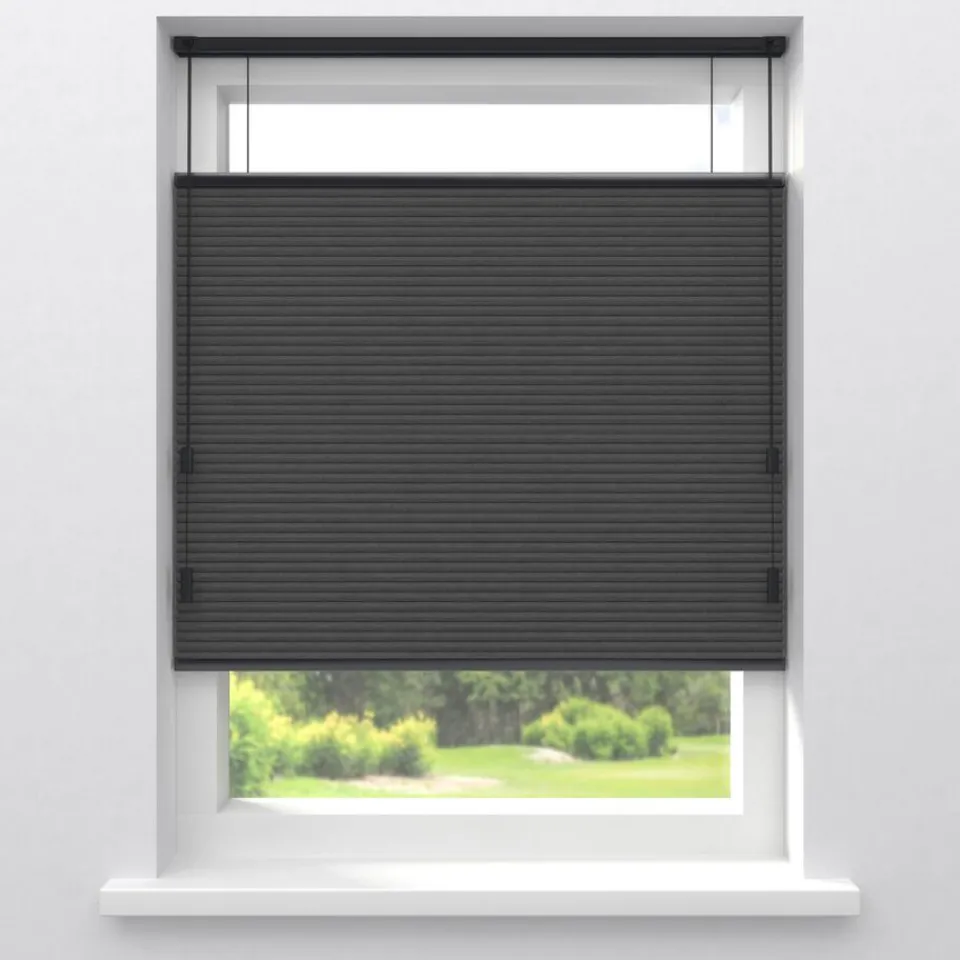 Kwantum Plisségordijnen|Fenstr Dubbel Plissé Aniek Verduisterend