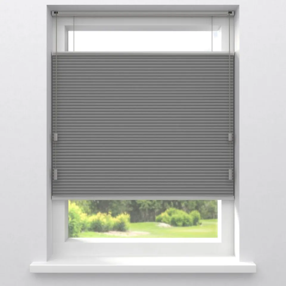 Kwantum Plisségordijnen|Isolerende Gordijnen|Fenstr Dubbel Plissé Aniek Verduisterend