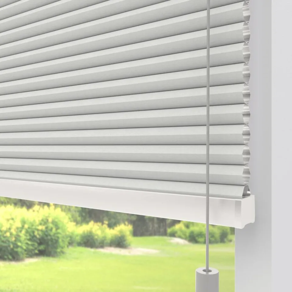 Kwantum Plisségordijnen|Fenstr Dubbel Plissé Aniek Verduisterend