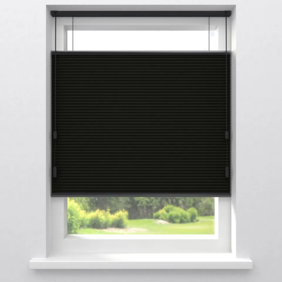 Kwantum Plisségordijnen|Isolerende Gordijnen|Fenstr Dubbel Plissé Suus Zwart Verduisterend