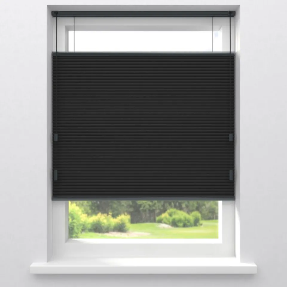 Kwantum Plisségordijnen|Isolerende Gordijnen|Fenstr Dubbel Plissé Thirza Verduisterend