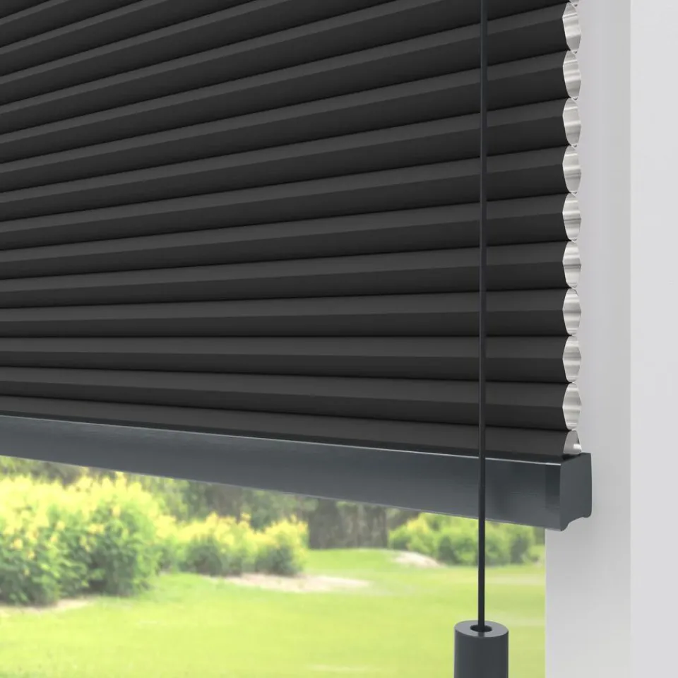 Kwantum Plisségordijnen|Isolerende Gordijnen|Fenstr Dubbel Plissé Thirza Verduisterend