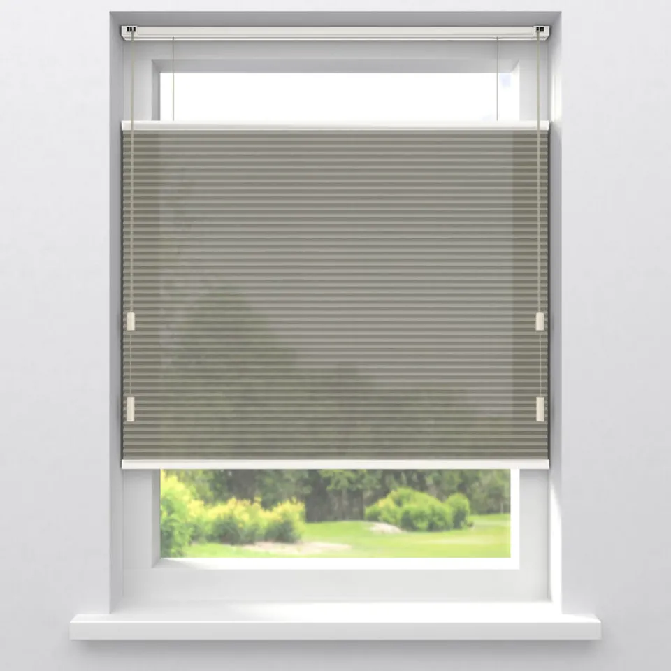 Kwantum Plisségordijnen|Fenstr Dubbel Plisségordijn Dewi Lichtdoorlatend