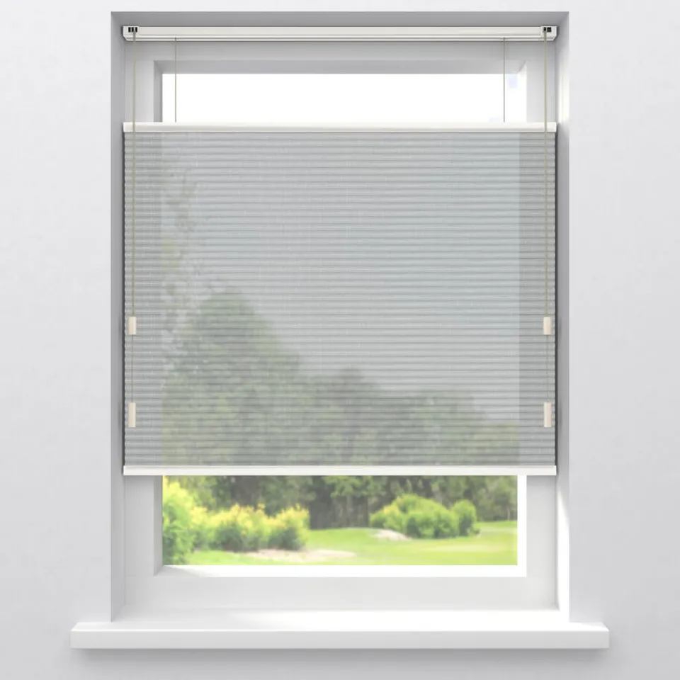 Kwantum Plisségordijnen|Fenstr Dubbel Plisségordijn Lou Transparant