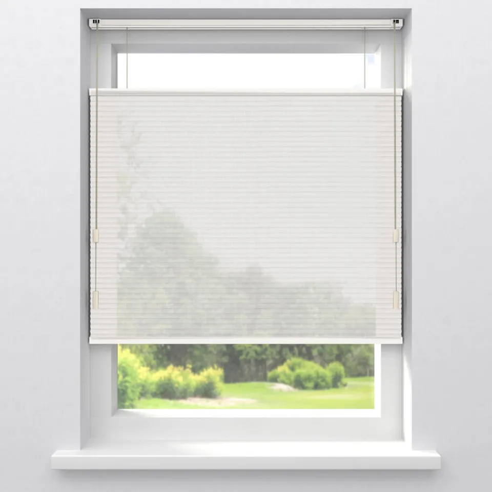 Kwantum Plisségordijnen|Fenstr Dubbel Plisségordijn Lou Transparant