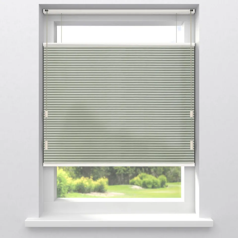 Kwantum Plisségordijnen|Fenstr Dubbel Plisségordijn Ezra Lichtdoorlatend