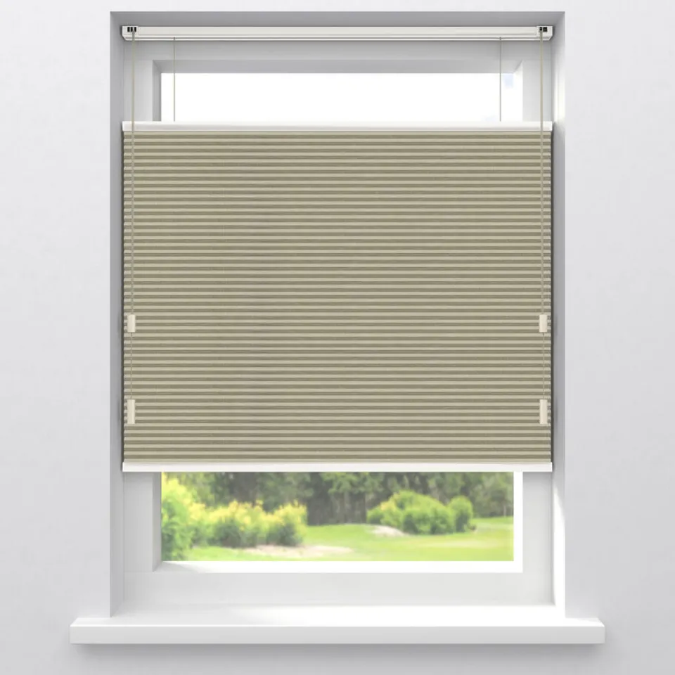 Kwantum Plisségordijnen|Fenstr Dubbel Plisségordijn Aniek Verduisterend