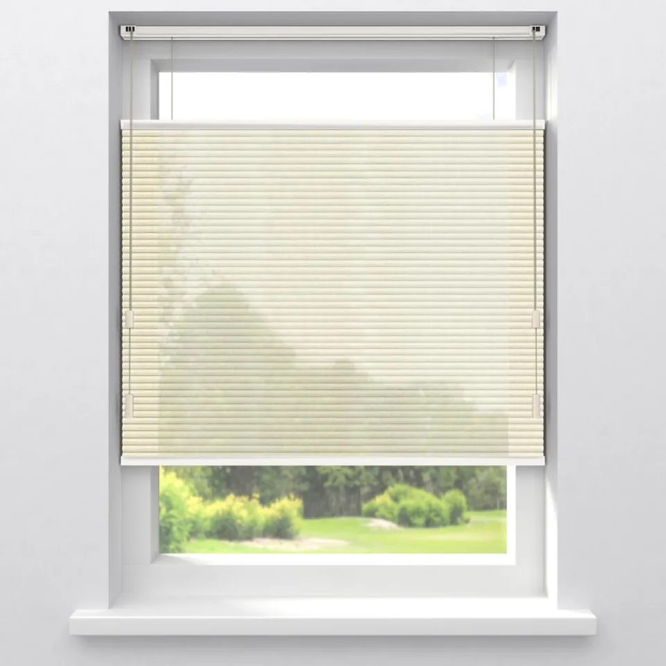 Kwantum Plisségordijnen|Fenstr Dubbel Plisségordijn Maud Transparant