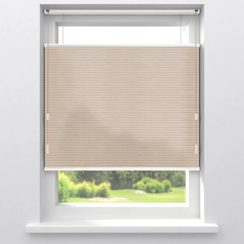 Kwantum Plisségordijnen|Fenstr Dubbel Plisségordijn Lizzy Lichtdoorlatend