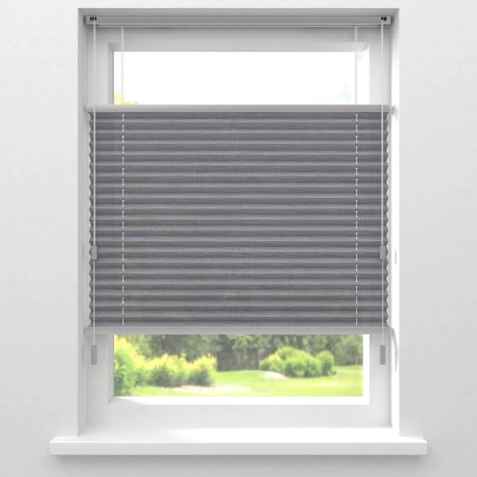 Kwantum Plisségordijnen|Fenstr Plissé Lina Transparant