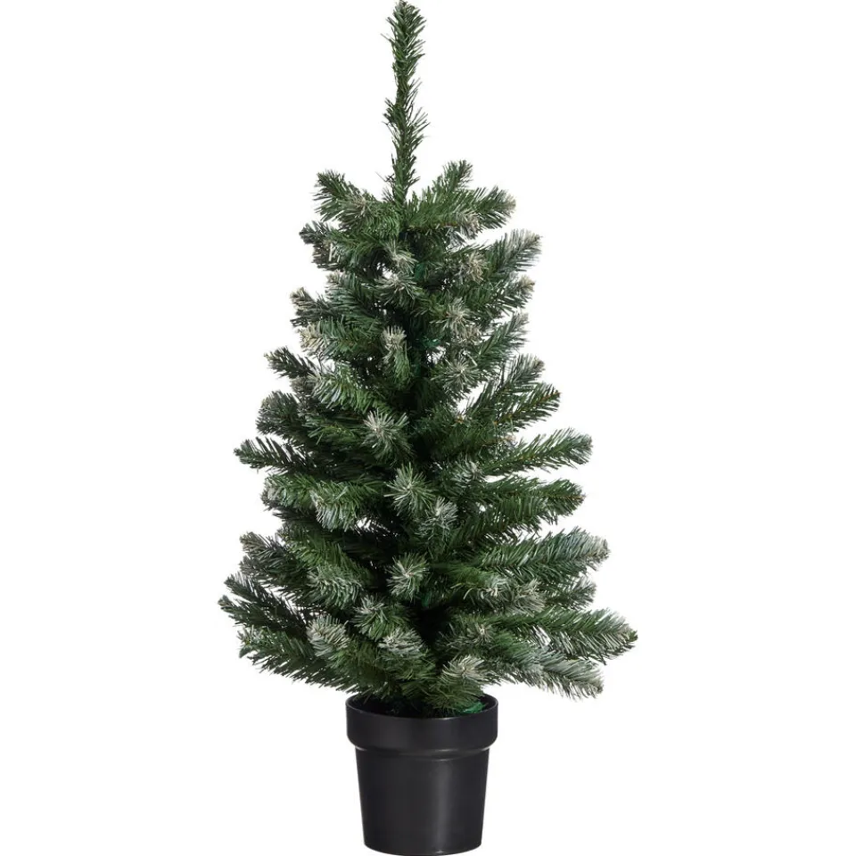 Kwantum Kerstbomen|Kerstboom Fiss Frosted Groen