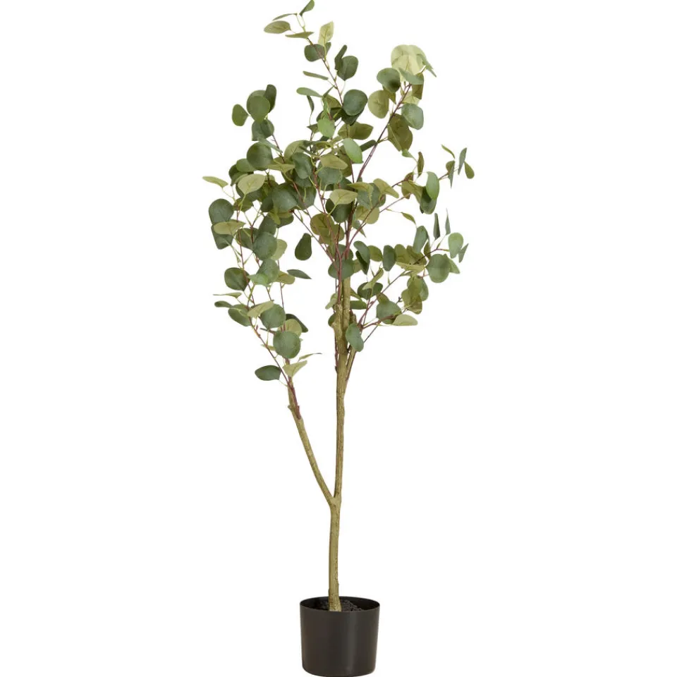 Kwantum Kunstplanten & Kunstbloemen|Kunstboom Eucalyptus In Pot Groen