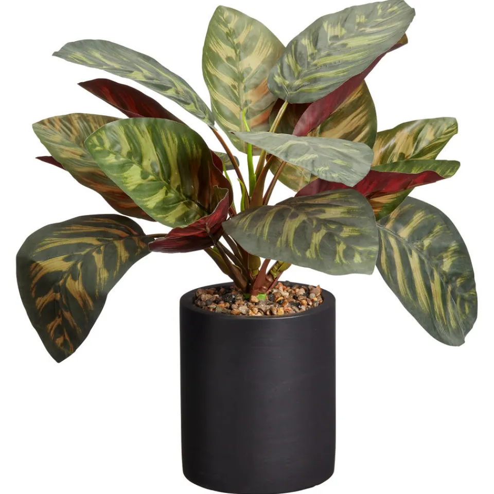 Kwantum Kunstplanten & Kunstbloemen|Kunstplant Calathea Groen