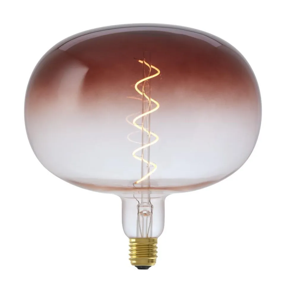 Kwantum Lichtbronnen|LED Lamp 22x22,5 Cm Bruin E27 Dimbaar