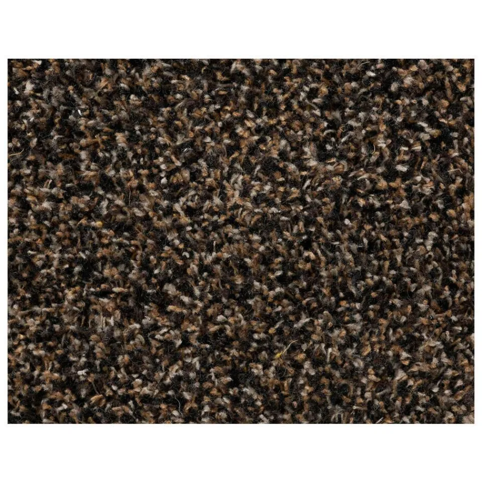 Kwantum Lopers|Loper Kingston