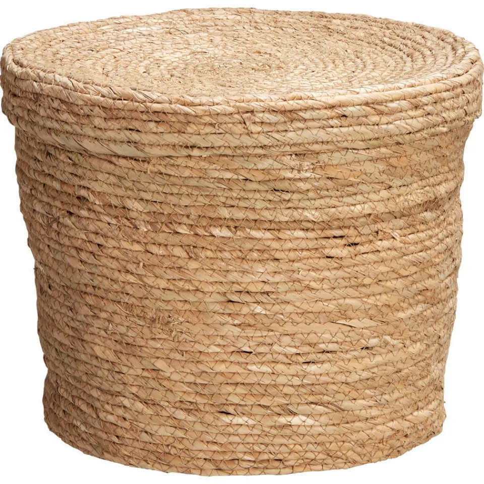 Kwantum Manden|Mand Hae Nature