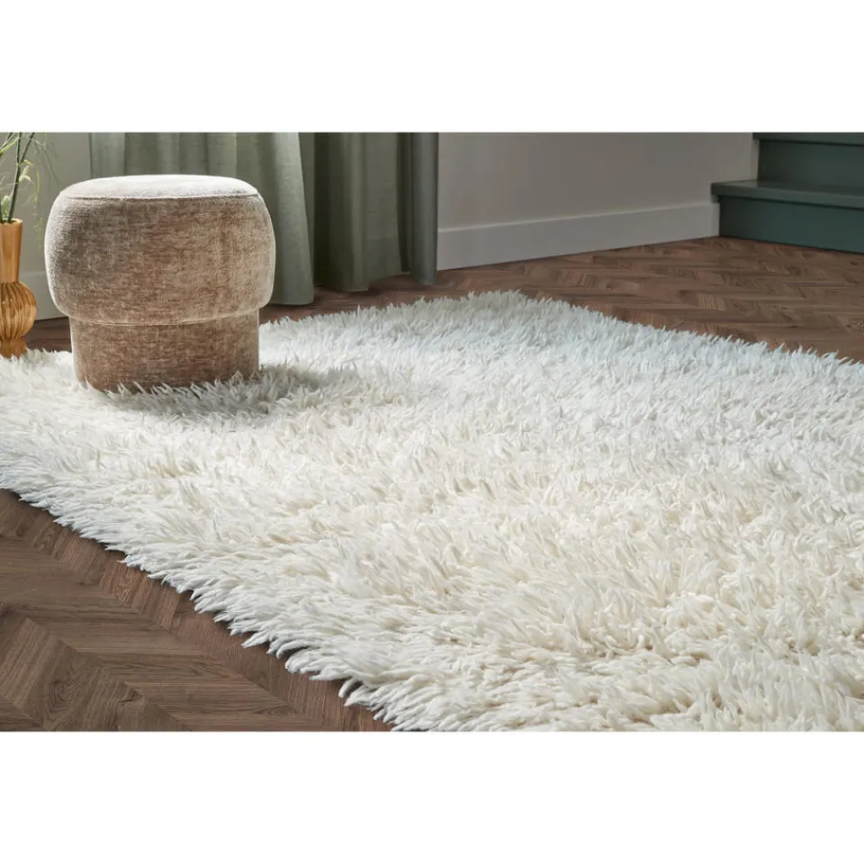 Kwantum Poefen & Hockers|Poef Giba