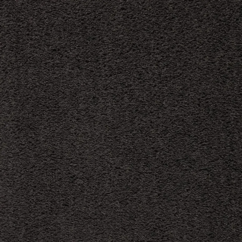 Kwantum Tapijt|Tapijt Marvell Antraciet
