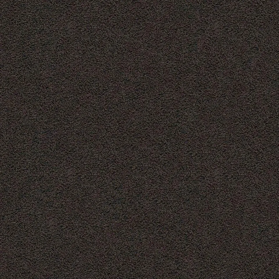 Kwantum Tapijt|Tapijt Marvell Antraciet