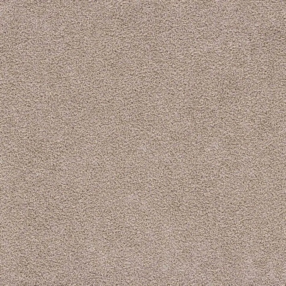 Kwantum Tapijt|Tapijt Marvell Beige