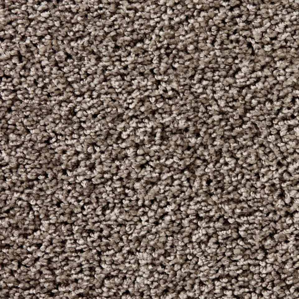 Kwantum Tapijt|Tapijt Marvell Taupe