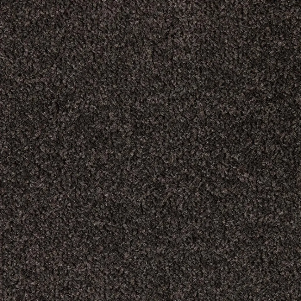 Kwantum Tapijt|Tapijt Parker Donkergrijs